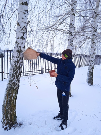 Кормушки для пернатых.