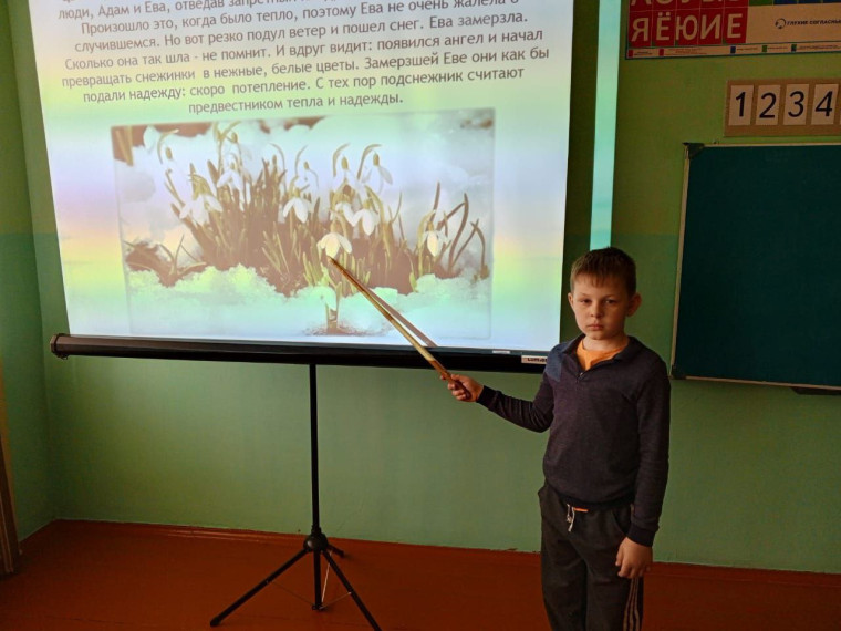 День подснежника.