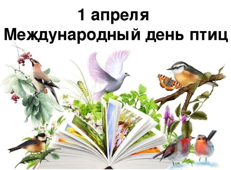 День птиц.