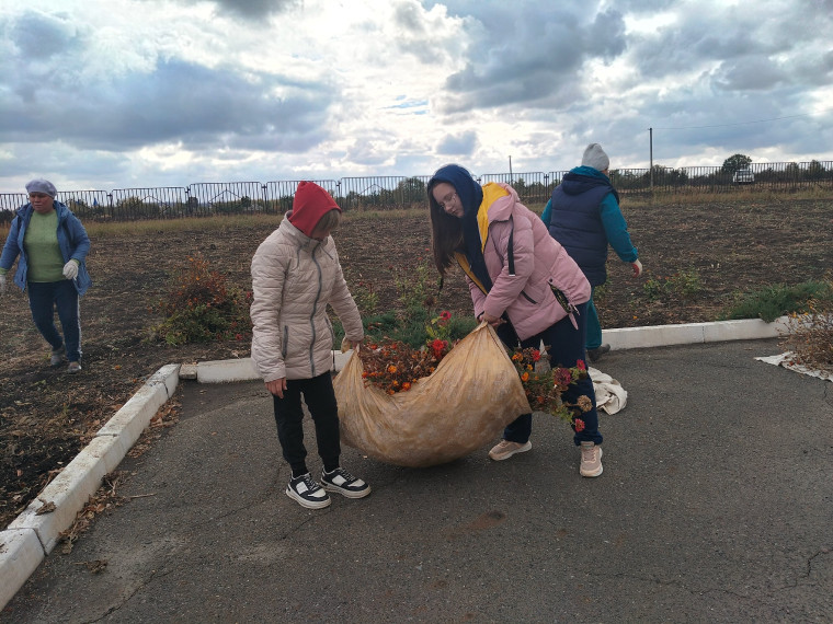 Уборка участка.